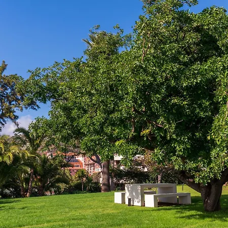 Acqua I By An Island * 丰沙尔