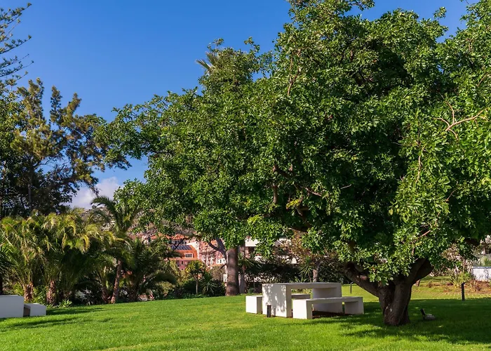 Acqua I By An Island * 丰沙尔